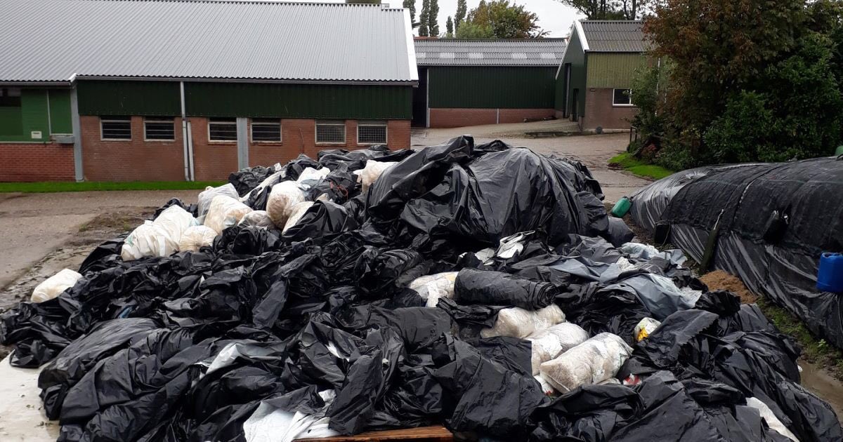 Vanaf aanstaande maandag 8 t/m 15 juni is de inzameling van landbouwplastic. Stretchfolie en landbouwplastic apart inleveren, in handzame pakketten en bezemschoon. Vooraf wegen op onze weegbrug. Kosten €0,10 per kg. Geen touw en big-bags.
