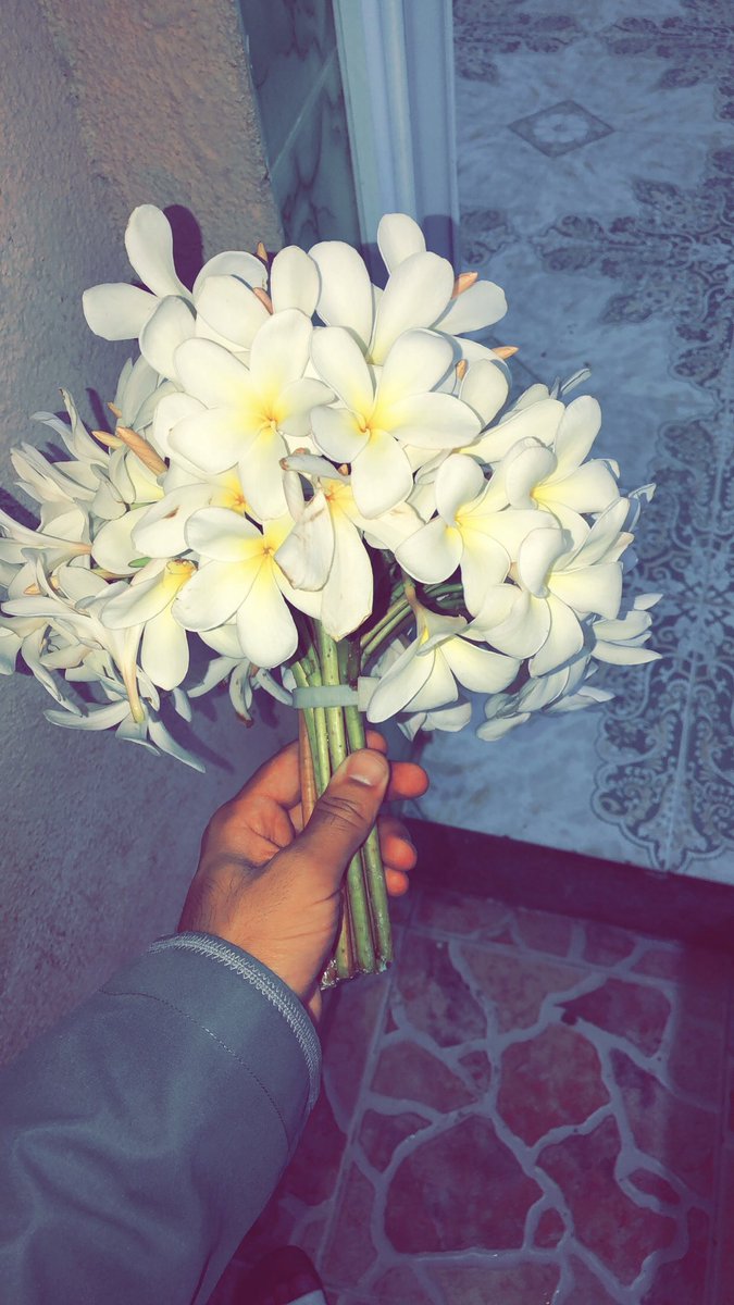 azzanv3's tweet photo. وبزحمةُ الاحزان تنبت نرجسةَ ' https://t.co/YDNQwRmQRP