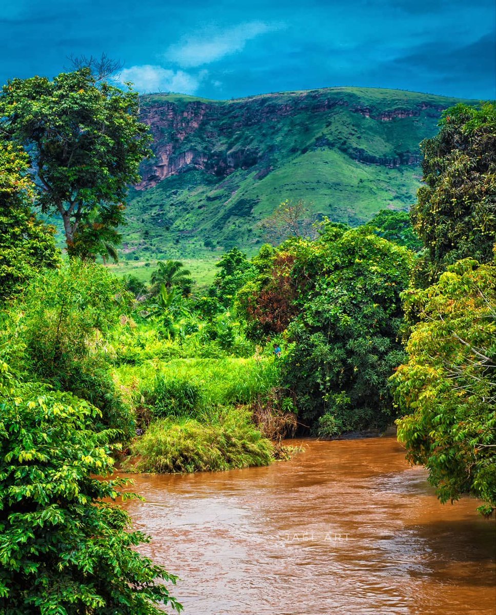 Joey Mukamba tweet media