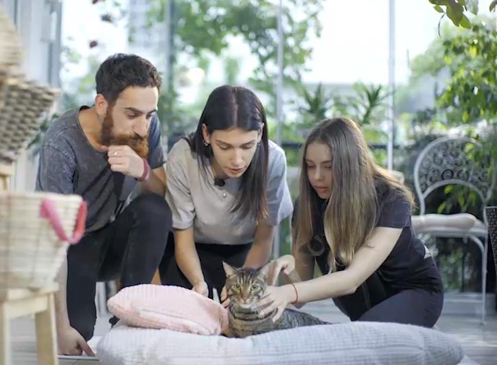 Jerry’le yarın saat 14.00’te <a href="/KanalD/">Kanal D</a> ‘deyiz 💙 <a href="/hayattamircisi_/">Hasan Kızıl</a> <a href="/dijitalsanatlar/">Dijital Sanatlar</a> #hayattamircisi