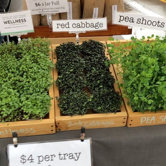 Quantum Microgreens tweet media