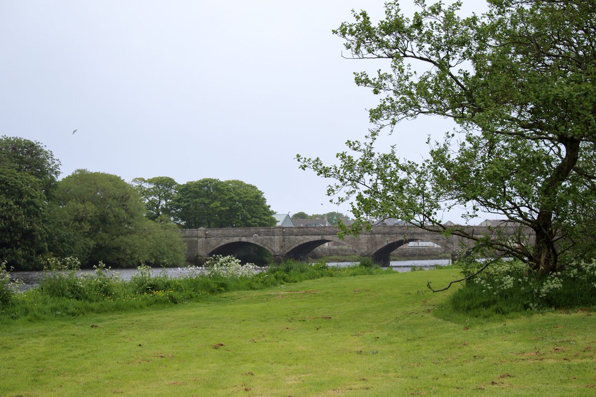 ScottishSurf's tweet photo. A nice day for a walk down the river, if you like the rain🌧️
#thursoriver https://t.co/hHNVNDadim