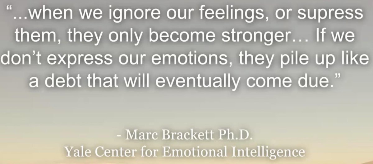 Jason Meucci tweet media