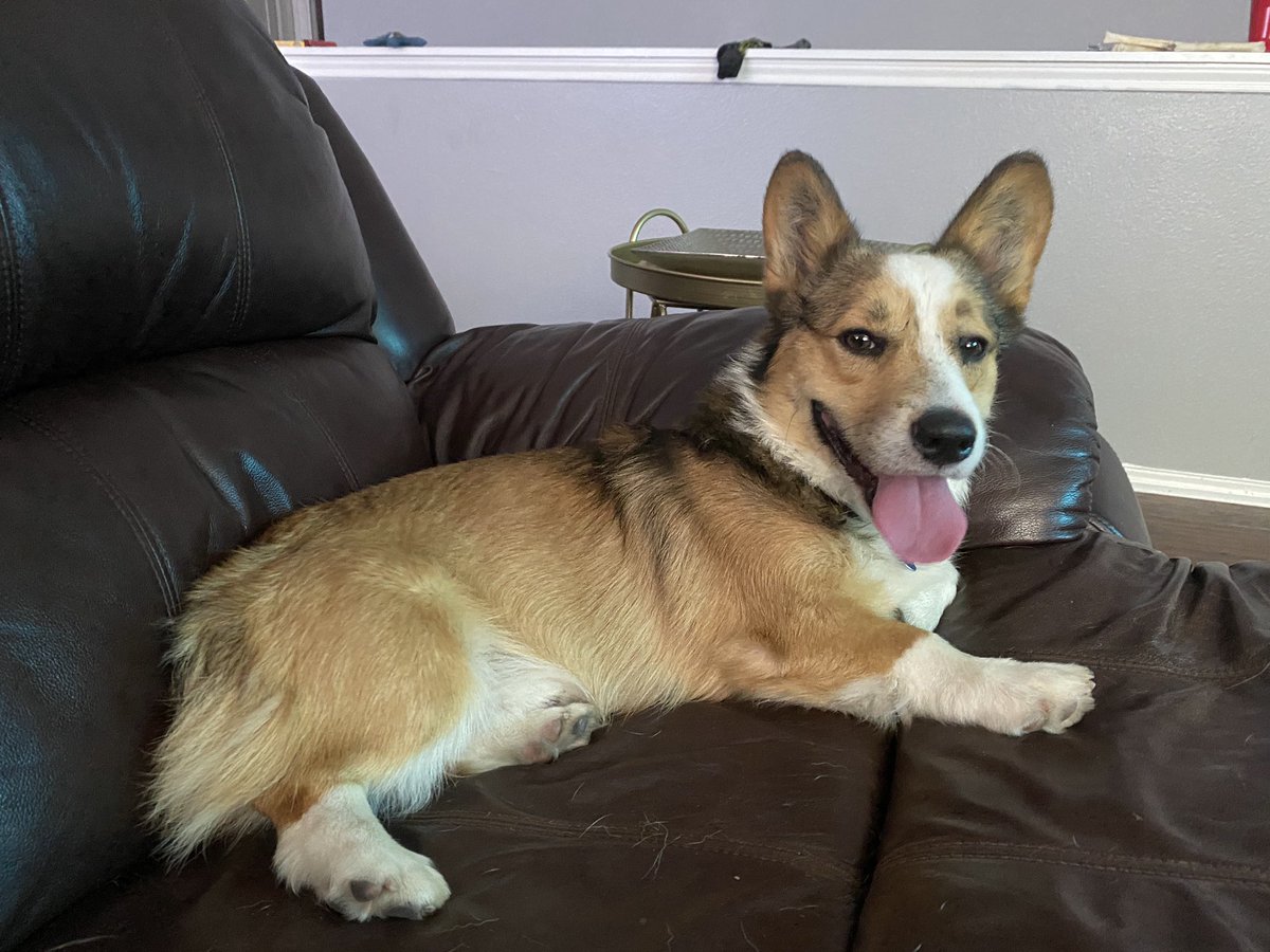 🐶Dude & Bro🐶 tweet media