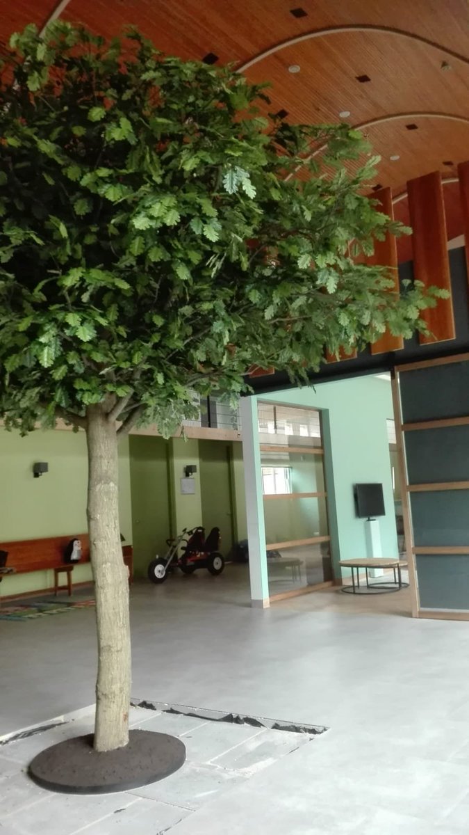 Door een sponsor is het mogelijk gemaakt dat er deze week opeens een super mooie boom gegroeid is in onze binnentuin. Een stevige eik, gemaakt door Kunstboomkunst. Een heel verrassend element in ons bijzondere gebouw en we zijn er superblij mee!