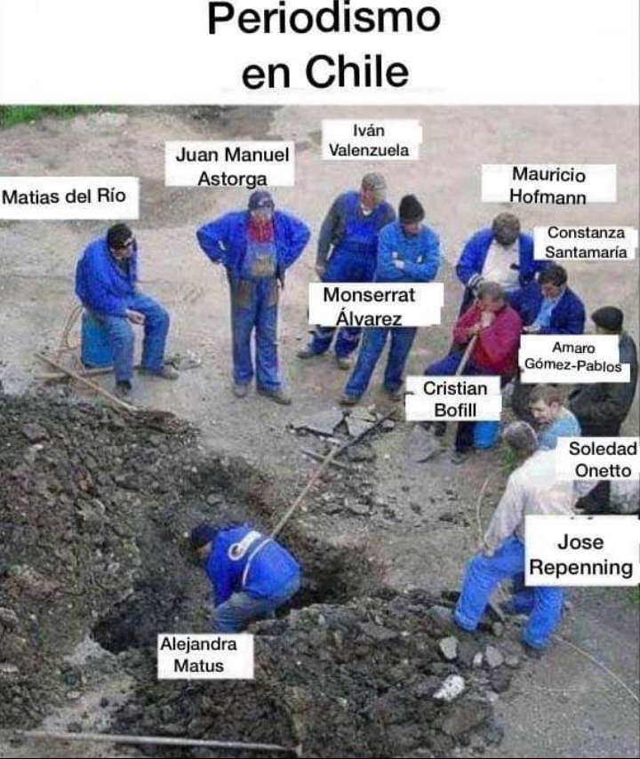 elalvearcc's tweet image. Alejandra Matus