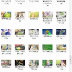 アニメのキャベツの作画を集めてるので見つけたらご一報を… ←な、なぜw?!