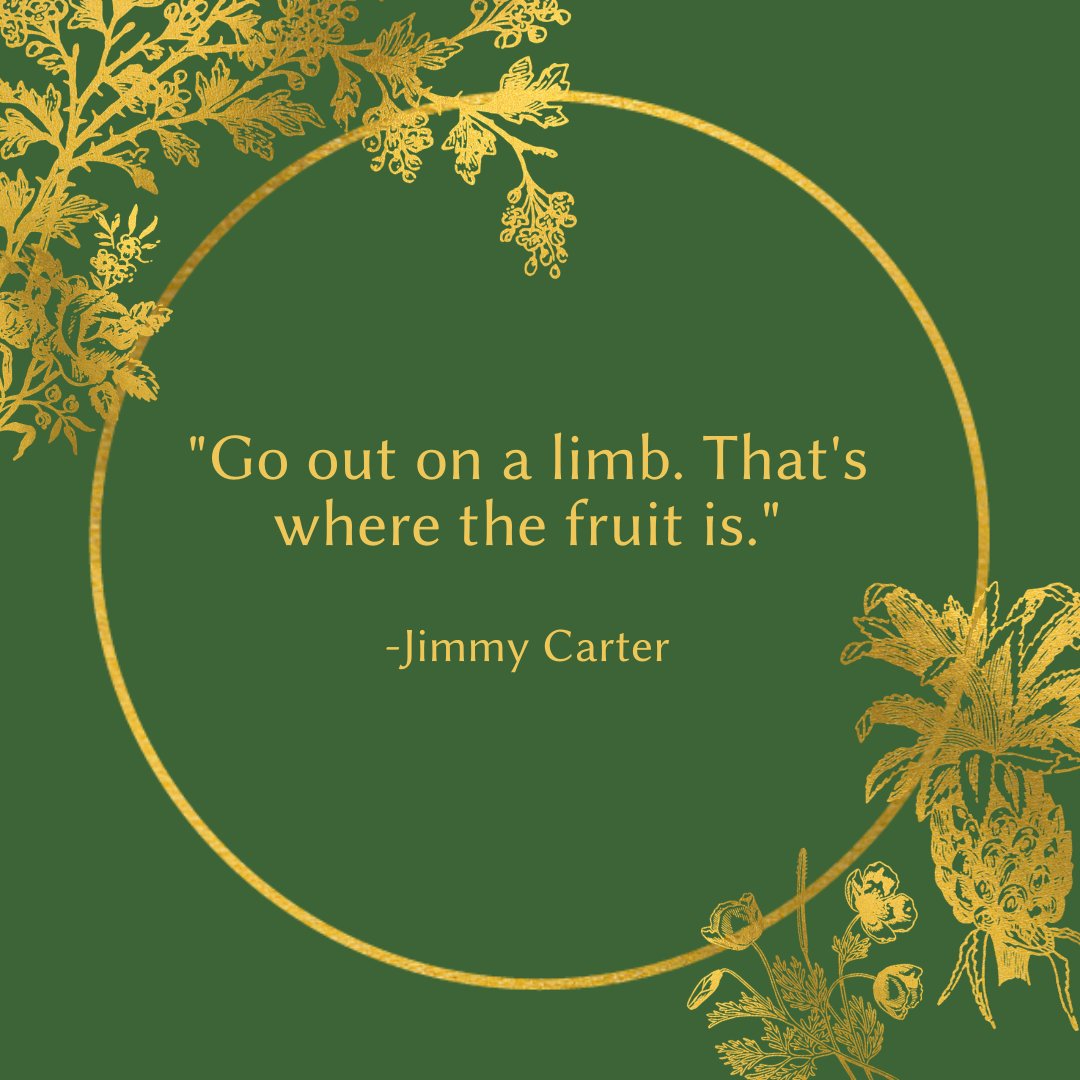 harrykarydes's tweet photo. "Go out on a limb. That's where the fruit is." -Jimmy Carter
#dailyrounds #doctor #physician #doctors #wellnessjourney #wellnesscoach #medicalstudent #residency #growthmindset #surgeon #somedocs #medtwitter
https://t.co/0RVZiC8DqQ https://t.co/tL2zwqePhK