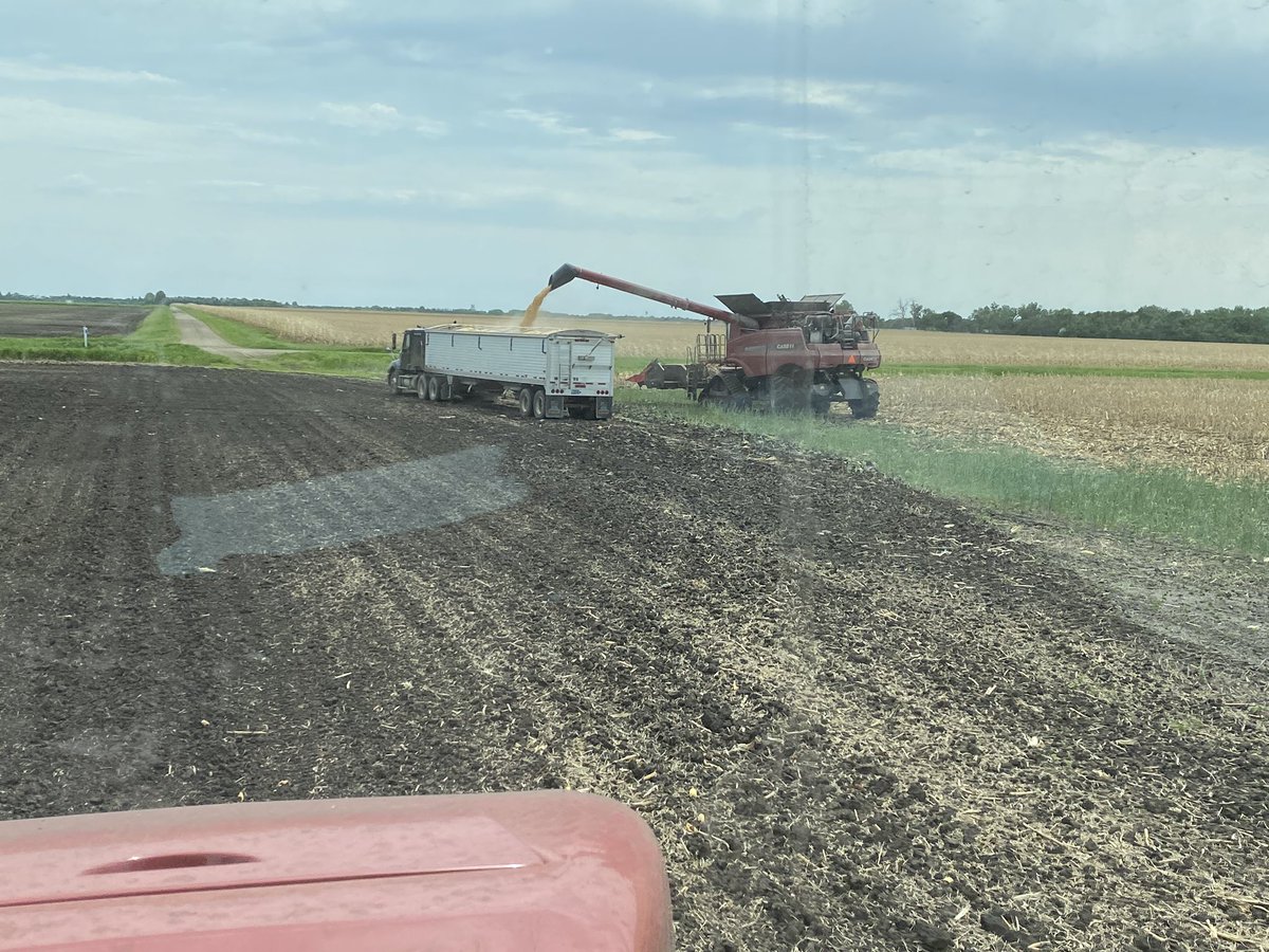 #Plant2020 and #harvest2019 finished the same day.  Hope to never say that again.