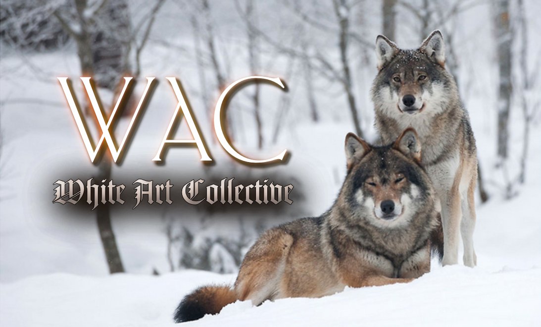 Aeodh_'s tweet photo. TONIGHT 9pm est #SNL on @WhiteCollective
Dance Squared right after (not yet confirmed...)
@boxkhar #WACpack & the MLVolk. @OfficialDLive
#WAC #ModernityLeave #Boxkhar #music
LINK : https://t.co/t8he87soCh https://t.co/Nd9XAM2UIH