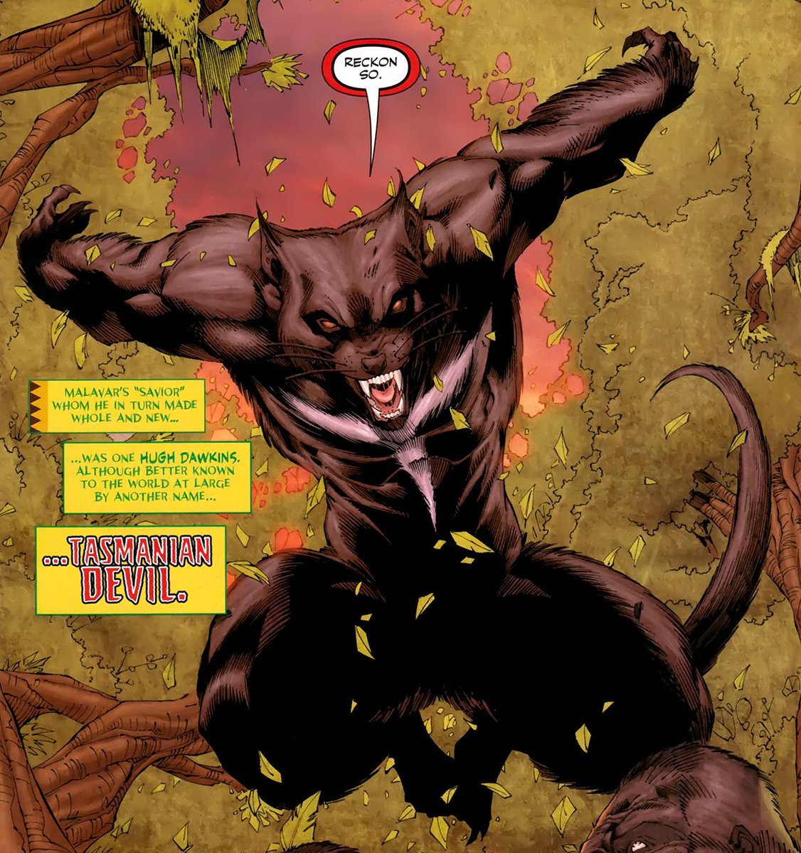 Hey guys I wanna introduce you to the Tasmanian Devil from DC comics. 