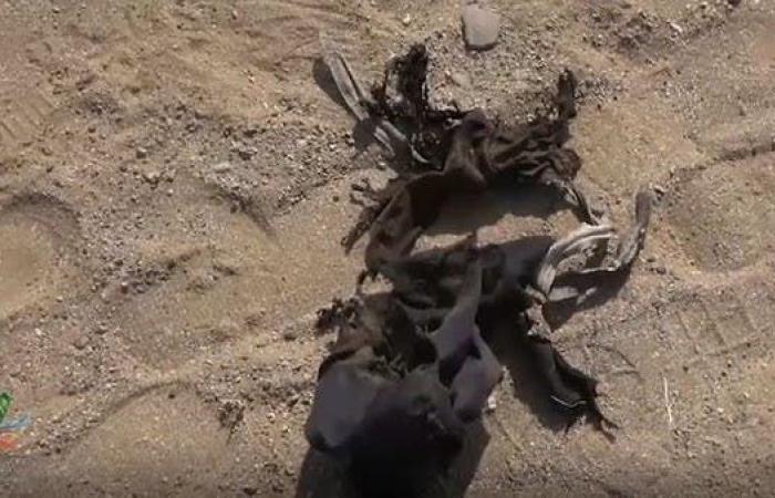 قُتل طفل جراء انفجار لغم أرضي من مخلفات ميليشيات الحوثي في نهم شرق صنعاء.
وقال المركز الإعلامي لمشروع "مسام" إن الطفل بكيل النعيمي 11 عاماً، فقد حياته أثناء رعيه الأغنام في وادي ملح، بانفجار لغم أرضي زرعه الحوثيون إبان المعارك التي دارت في المنطقة مطلع العام 2016.
#الحدث_اليمني