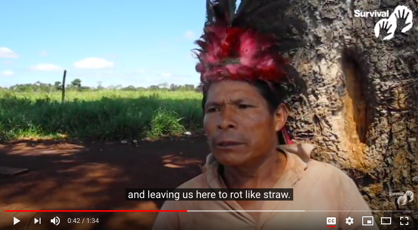 "They're leaving us here to rot." Arlindo Guarani #TribalVoice (2017)

#COVIDー19 has now reached his ppl &amp; they're desperate.  They can't self-isolate as nearly all their land has been stolen for agribusiness. 

#StopBrazilsGenocide 
<a href="/Survival/">Survival International</a>
youtube.com/watch?v=Uj5HNA…