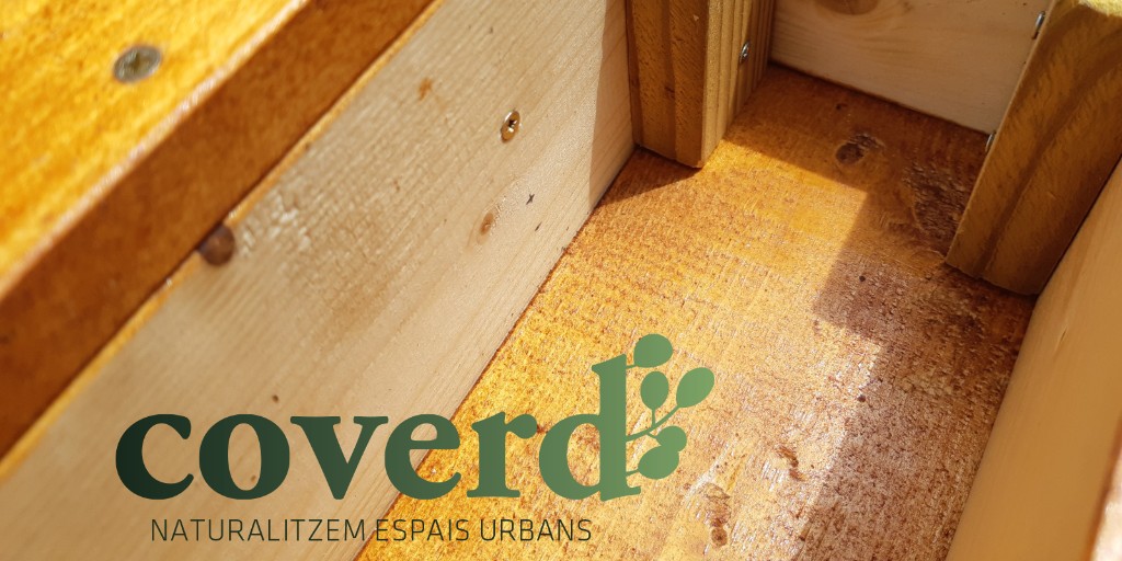 Naturalitzem espais urbans com finestres i balcons treballant la fusta i el geotèxtil 😊  #Coverd #Fetamida #bcnposatverda #renaturalitzembcn #verdurbà #Finestres #balcons #natura