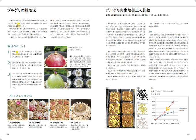 Conocono もちろん 人気のブルゲリについてもb Plantsよりも詳しく実生や栽培法について解説したよ 栽培全般についても同じだけど これが唯一の正解 ってわけじゃないから やりやすい方法を検討する叩き台として参考にしてね Conocono もちろん 人気のブルゲリについてもb Plantsよりも詳しく実生や栽培法について解説したよ 栽培全般についても同じだけど これが唯一の正解 ってわけじゃないから やりやすい方法を検討する叩き台として参考にしてね