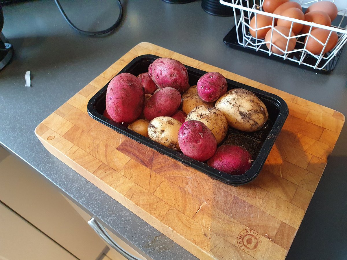 stephendukelow's tweet image. Did a bit rooting around in the spud patch to see how things were progressing.