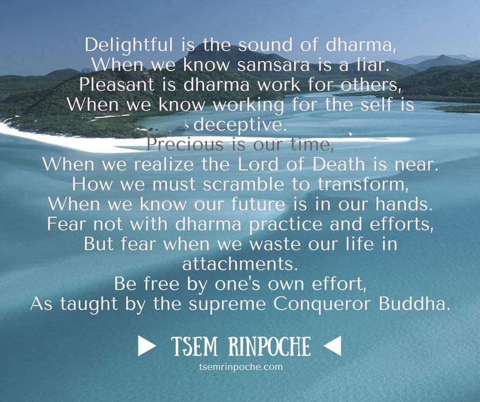 tsemrinpoche.com