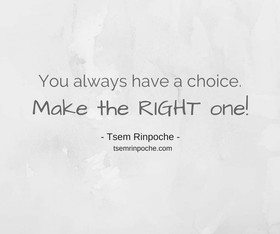 tsemrinpoche.com
#lnspirationalquote
#quoteoftheday
#quotestoliveby
#QOTD
#inspiringthefuture
#PositiveVibesOnly
#PositiveLiving
#TsemRinpoche
#positivethinking
#Positivevibes
#positivity
#KindnesslnAction
#KindnessMatters
#positiveimpact
#Compassion