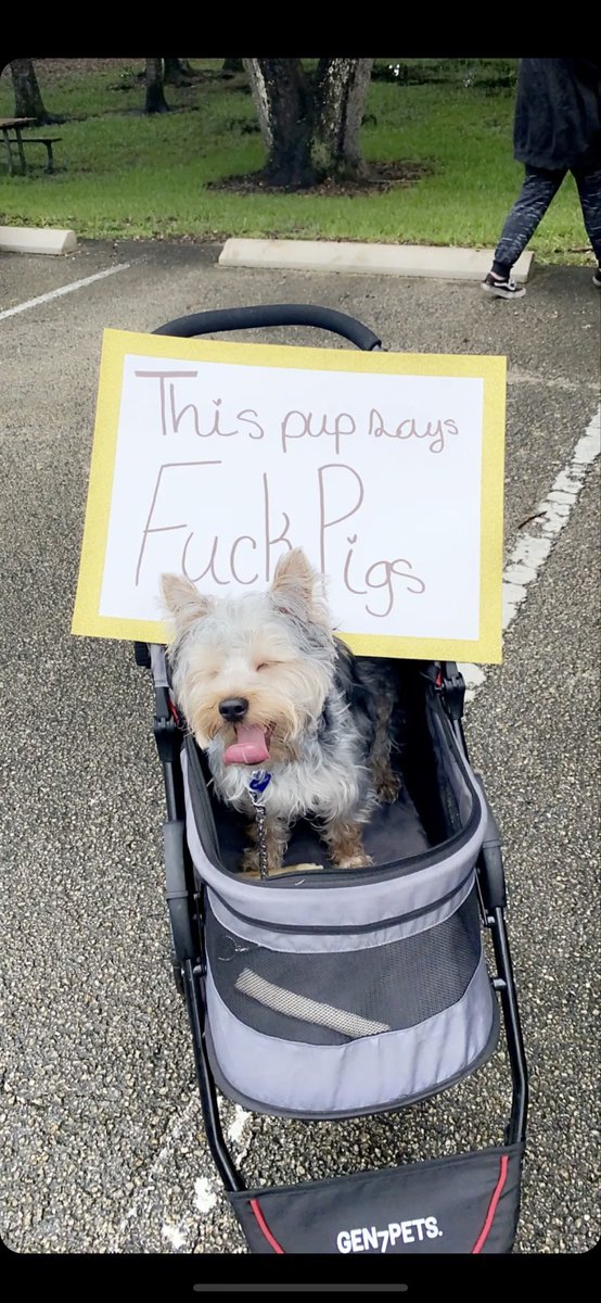 thread of very good dogs protesting for justice