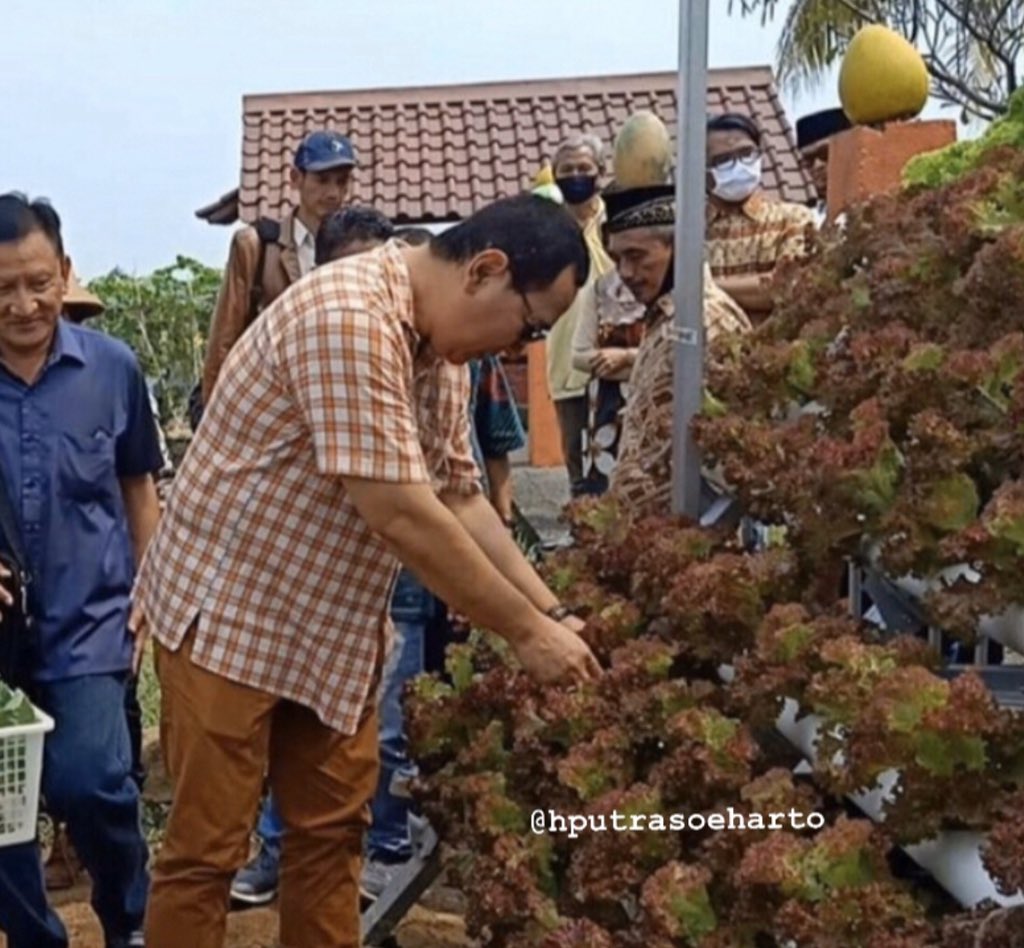 Panen. Saung Berkarya. 
Mari bercocok tanam untuk menjaga kedaulatan pangan, kemandirian pangan dan keamanan pangan. 
#HutomoMP