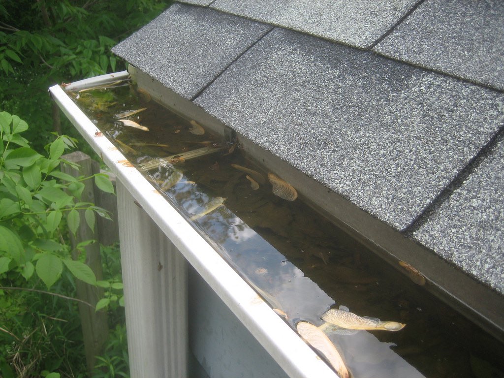 brettedward56's tweet photo. Clogged eavestrough can cause water to seep into the walls and cause damage. For more information,call (403)921-3622, we will be happy to help .#yycexteriors #yyctrades #calgaryliving #yyclife #yyc #yycrenovations #calgaryinteriors #yycwindows #yycdoors #yycroofer https://t.co/O1Pbtlwo9G