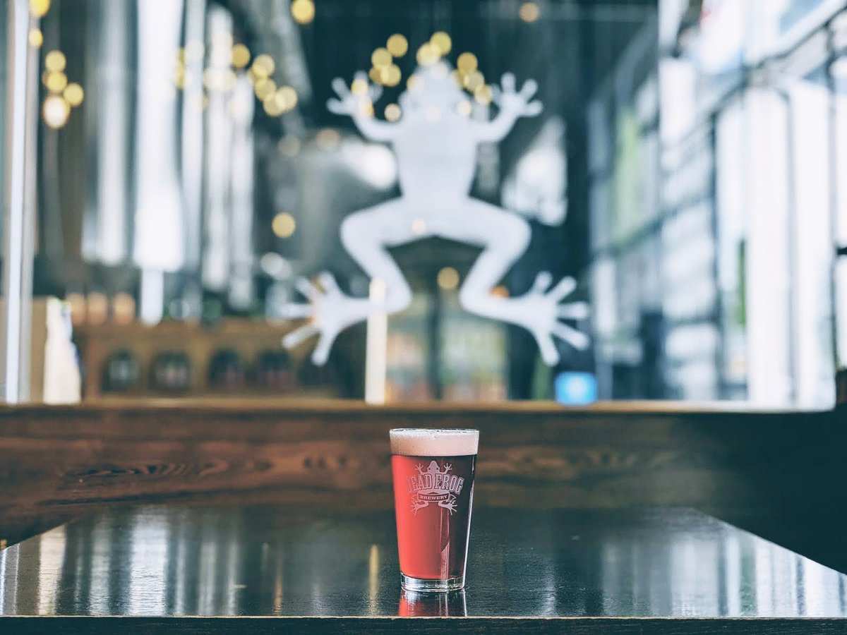 DeadFrogBrewery's tweet photo. The weekend is here and WE ARE OPEN!  Today’s a good day for a pint of the Warhead.

We’re back open today from 11am to 11pm.  We've got 20+ craft brews on tap for the re-opening, and an updated food menu.

See you soon!

#welcomeback #deadfrog #weekendbrews https://t.co/eKE7kRBW2H