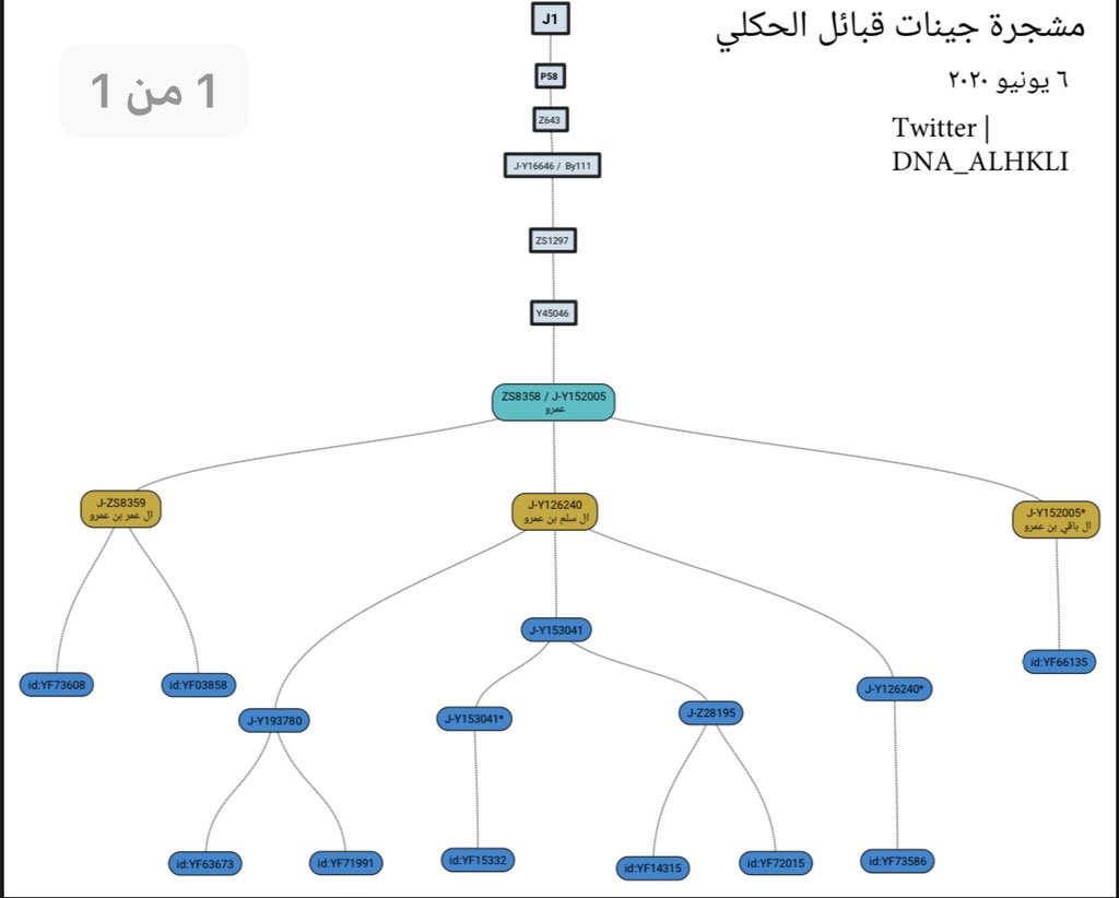 قبيلة الحكلي ( القرا ) DNA tweet media