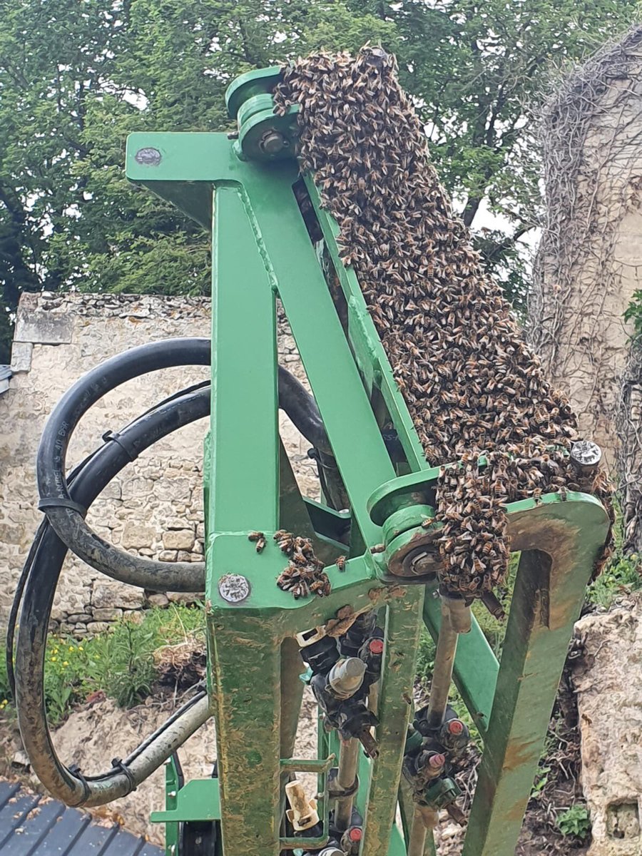 PhiliponB's tweet photo. Les apiculteurs vont apprécier !
Abeilles sur un pulvérisateur https://t.co/4mcacEZPzf