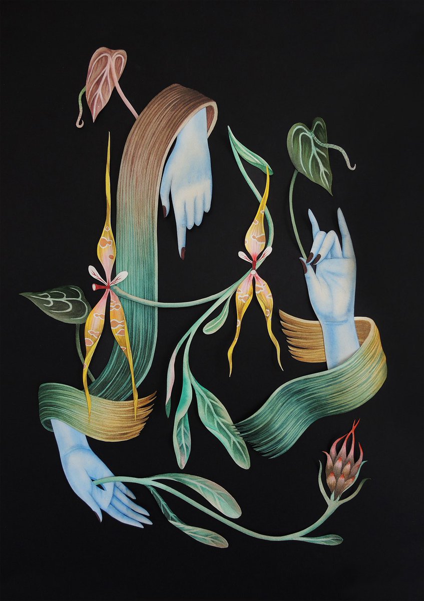 Arte: Andrea Wan
Inevitable Growth