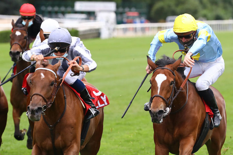 francegalop's tweet photo. 🏆 Tout sur les gagnants des trois courses de groupe du jour @LyonHippodromes, c’est sur notre site : https://t.co/WAHX20ZZQw
#Corrida #Cleopatre #Greffulhe https://t.co/fF6FNJMGr4