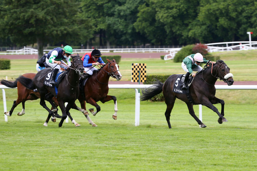 francegalop's tweet photo. 🏆 Tout sur les gagnants des trois courses de groupe du jour @LyonHippodromes, c’est sur notre site : https://t.co/WAHX20ZZQw
#Corrida #Cleopatre #Greffulhe https://t.co/fF6FNJMGr4