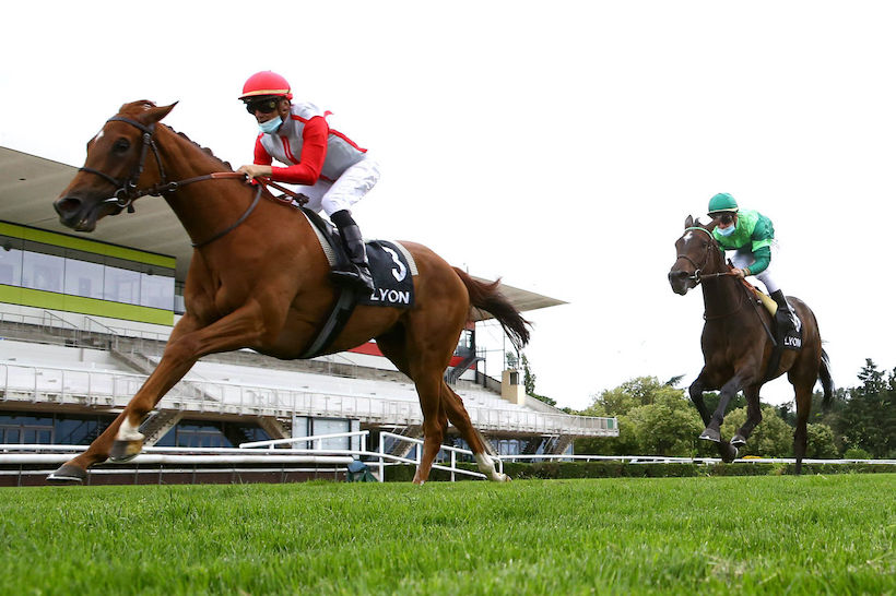 francegalop's tweet photo. 🏆 Tout sur les gagnants des trois courses de groupe du jour @LyonHippodromes, c’est sur notre site : https://t.co/WAHX20ZZQw
#Corrida #Cleopatre #Greffulhe https://t.co/fF6FNJMGr4