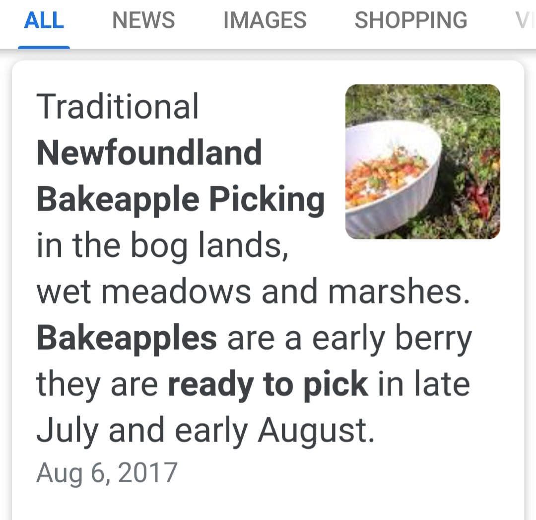 HeyPastie's tweet photo. I want to pick bakeapples. I #DayDream about #bakeapples #newfoundland
#FamilyFirst
#newfies living away
#comehomeyear 2021 https://t.co/qAlHC82BaV