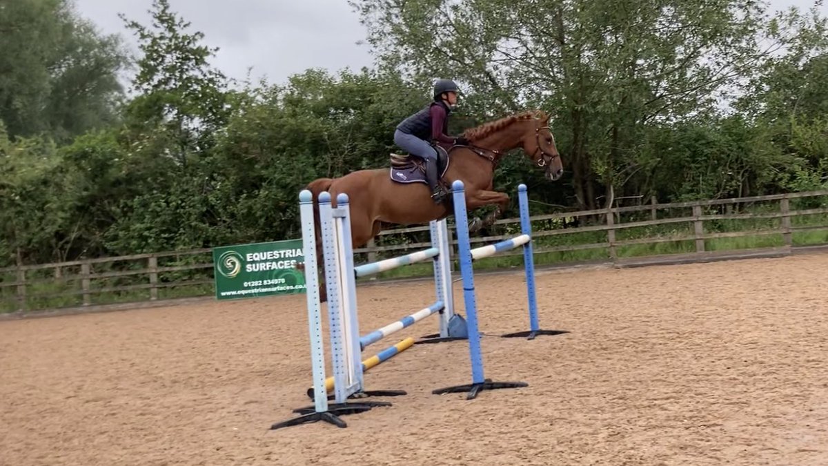 GEWeventing's tweet photo. Delighted with how well the @greenlanestud horses jumped today with no.1 trainer @erniedillonfbhs. Hudson just gets more and more classy and Florence is making great progress - Iβm very lucky! #noscopenohope #PoweredbySimpleSystem @SimpleSystemUK https://t.co/LVqOFtFBua