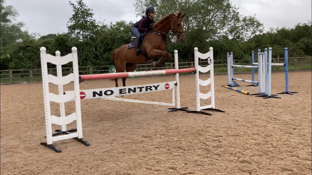 GEWeventing's tweet photo. Delighted with how well the @greenlanestud horses jumped today with no.1 trainer @erniedillonfbhs. Hudson just gets more and more classy and Florence is making great progress - Iβm very lucky! #noscopenohope #PoweredbySimpleSystem @SimpleSystemUK https://t.co/LVqOFtFBua