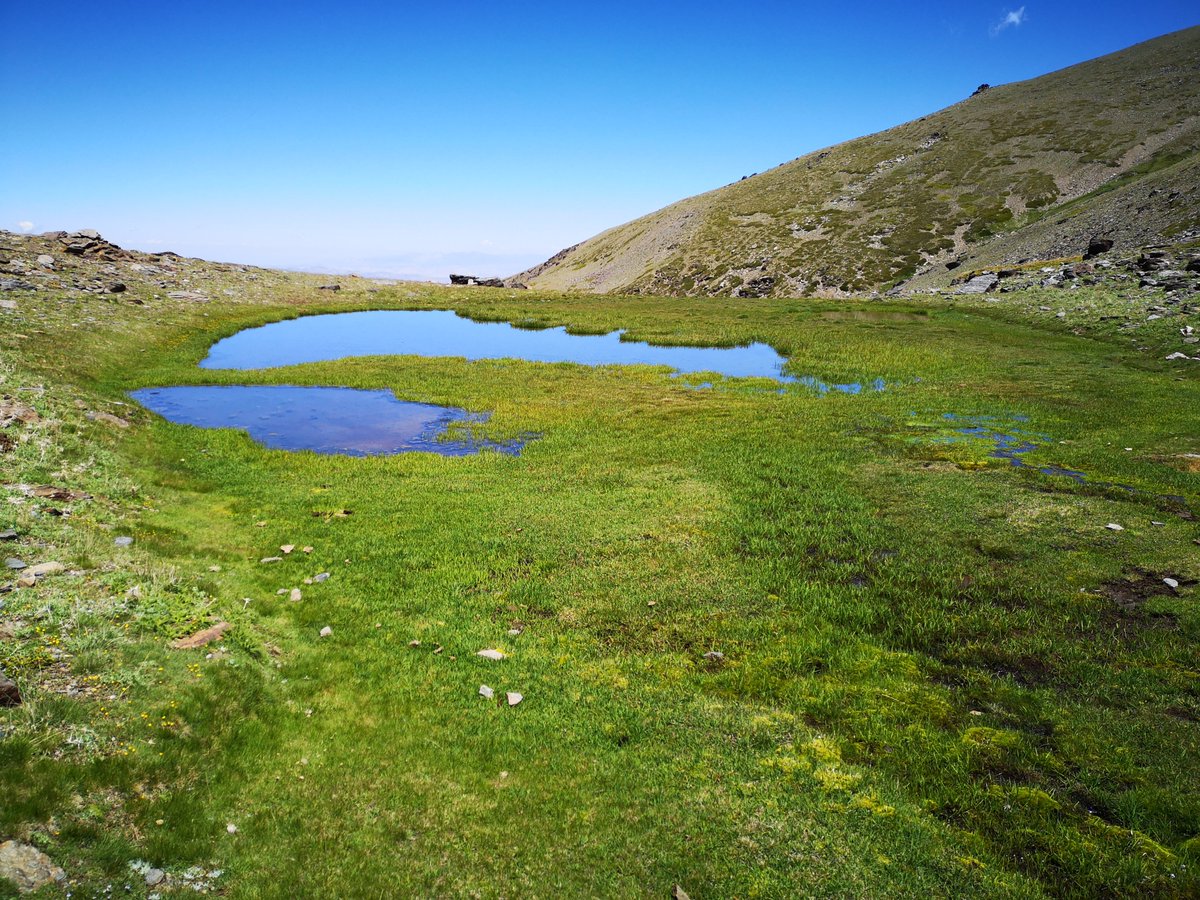 LagunasSNevada's tweet photo. Los Lavaderos de la Reina hoy 😀
📸 Chorreras de Covatillas.
📸 Lagunillo de los Lavaderos de la Reina.
📸 Laguna de los Lavaderos de la Reina.
📸 Laguna de los Lavaderos y Tajos Negros de Covatillas. https://t.co/ai5MQbw3td