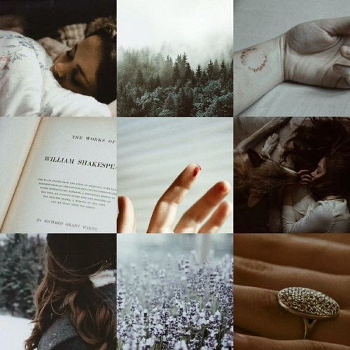 Isabella M. Swan tweet media