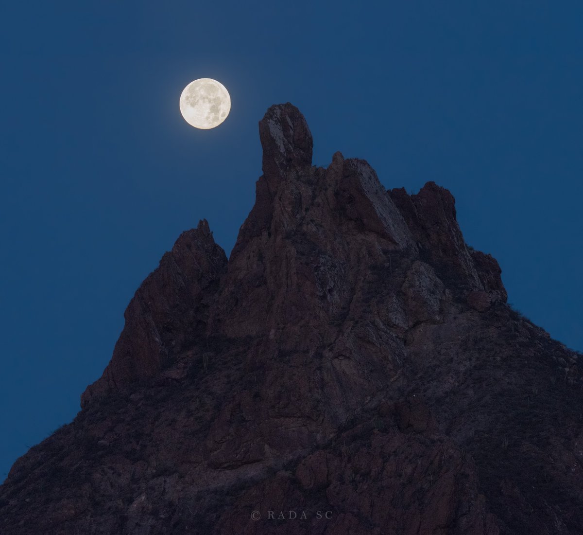 Rada_SC's tweet photo. La Luna Llena ocultándose en el cerro Tetakawi hoy al amanecer en San Carlos, Sonora. https://t.co/22ekSeey4o