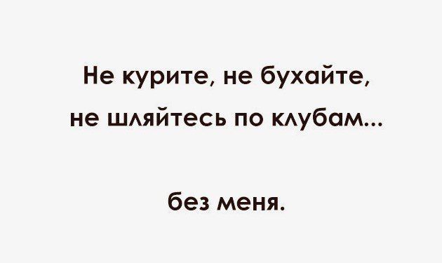| Домашняя Кошка | (@_mika_tuan_) on Twitter photo 