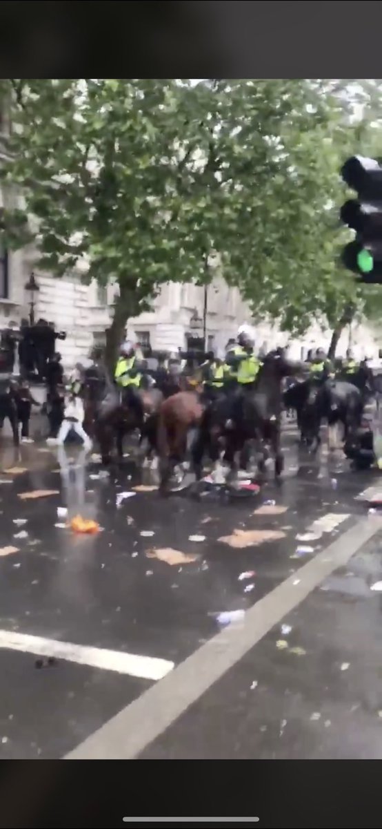 Dreadful scenes from London. Those asking me if the horse is ok, the horse is fine.
It ran straight back home & is safe. I have no news on the rider. 
Peaceful protest & campaigning is fine.Violence never is!
PS Throwing a bike at a police horse is never acceptable!😡
#FinnsLaw