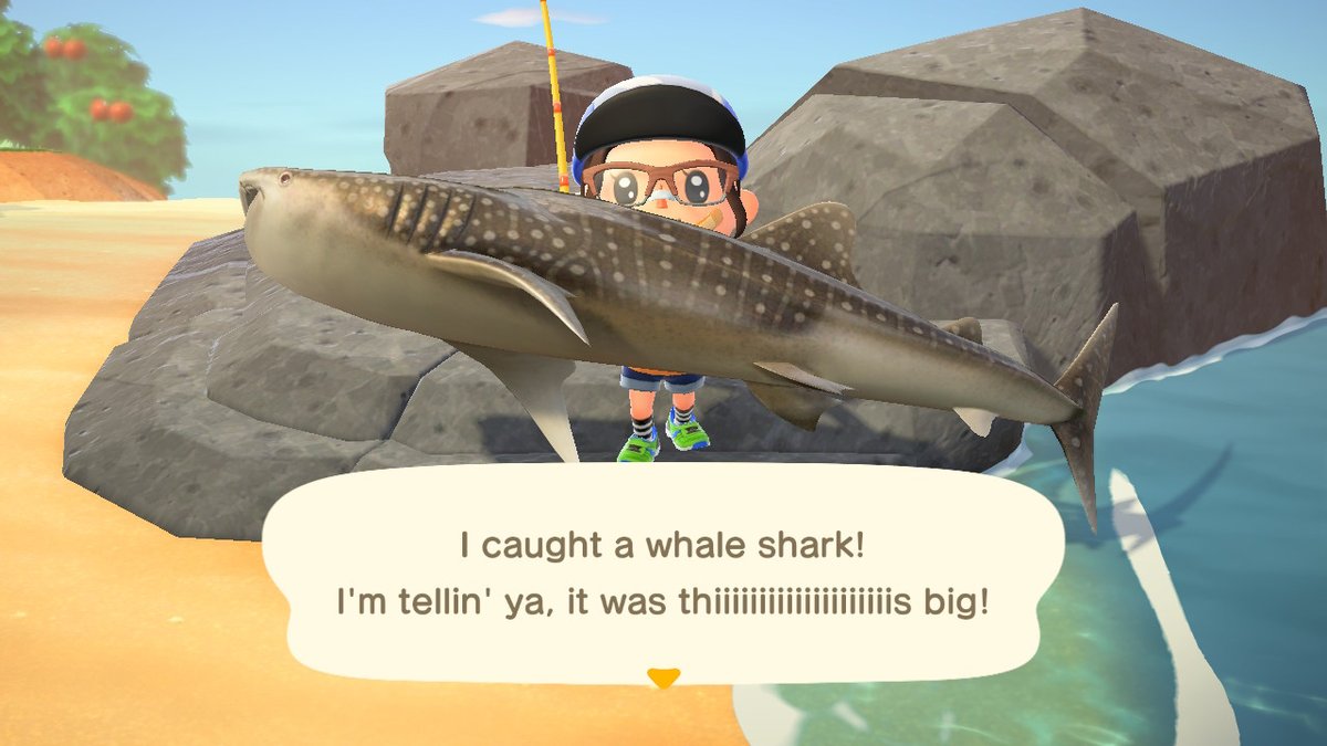 jeffrymuhammad's tweet photo. #AnimalCrossing #ACNH #NintendoSwitch https://t.co/Ob39TXbRox