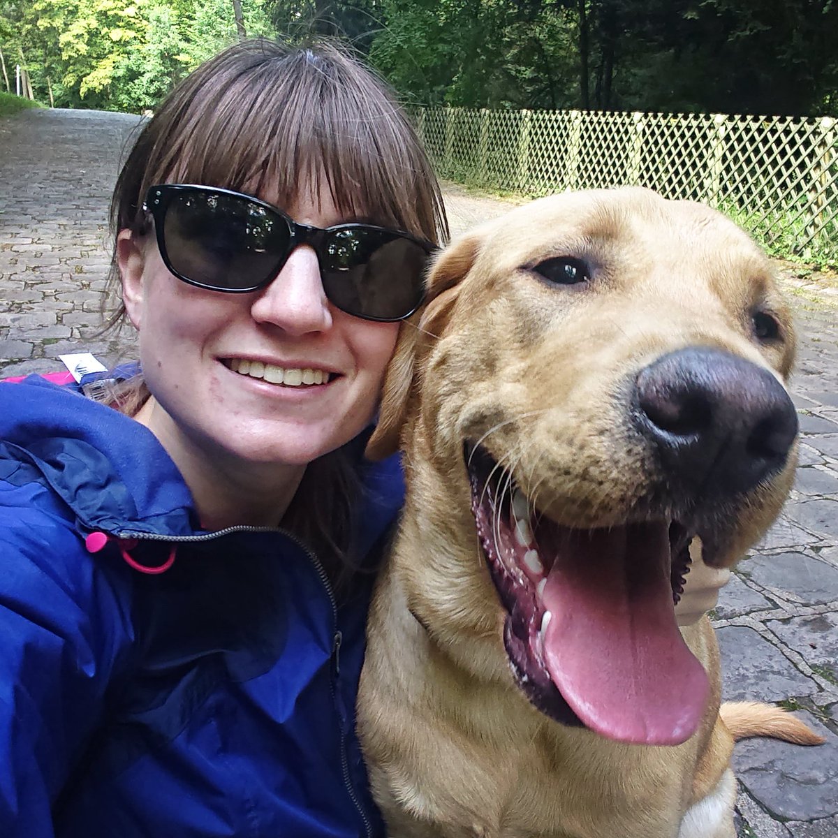 FuturChienGuide's tweet photo. Encore une belle journée avec Purple des @ChienguideParis à mes côtés ! Avec de belles retrouvailles avec #OnylChienGuide puis on a ensuite @pattes_a_modeler une détente avec #PylaChienGuide
#chienguide #chiensguidesparis #futurchienguide #famillerelais #guidedog #dogeducation https://t.co/jiA2UElOMk