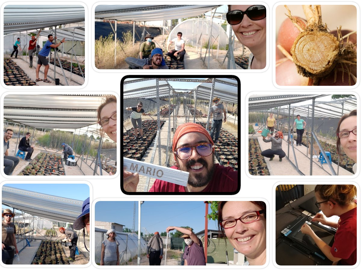 Silvia Matesanz tweet media