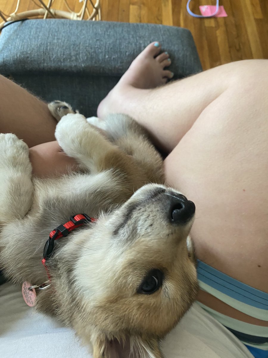 TransYogaTeach's tweet image. Is anyone at Malcolm x already? Thinking of stopping by with the pup for emotional support ❤️#dcprotests #dc #blmdc #blacklivesmatterdc