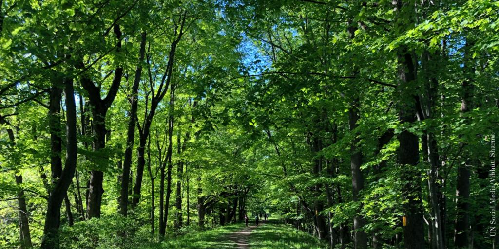 India Mission To The UN tweet media