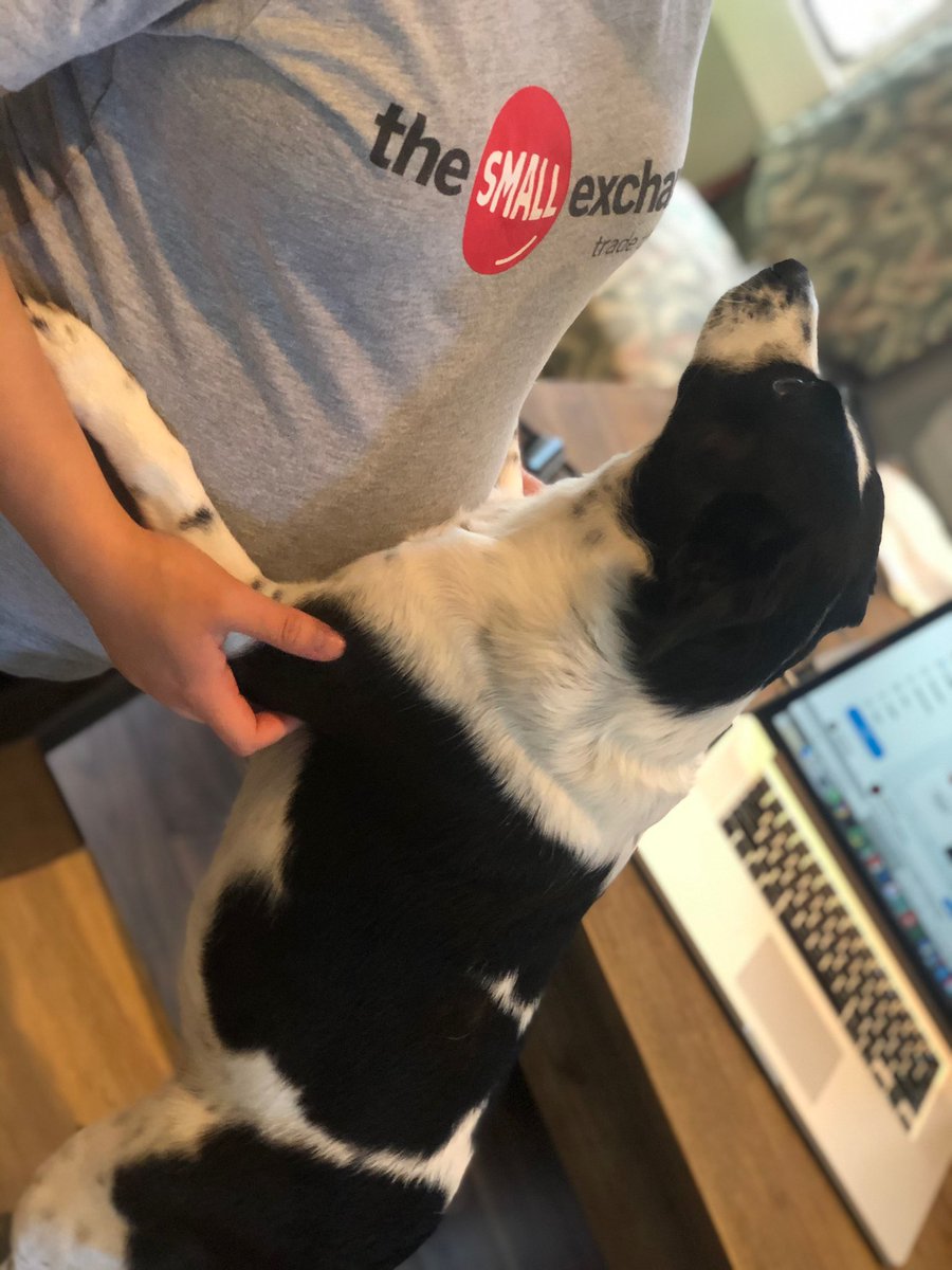 _milesyo_'s tweet photo. Trade @small_exchange , trade often. 

@mikehart79 
@tastytrade 
#theharts 
#tastytrade 
#tradesmalltradeoften 
#babysteps https://t.co/JUF3ewTcom