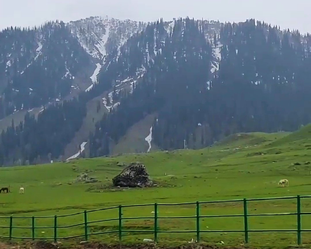 Rolee_Kachru's tweet photo. Sonamarg ... #Kashmir ! https://t.co/7wBInCMovX