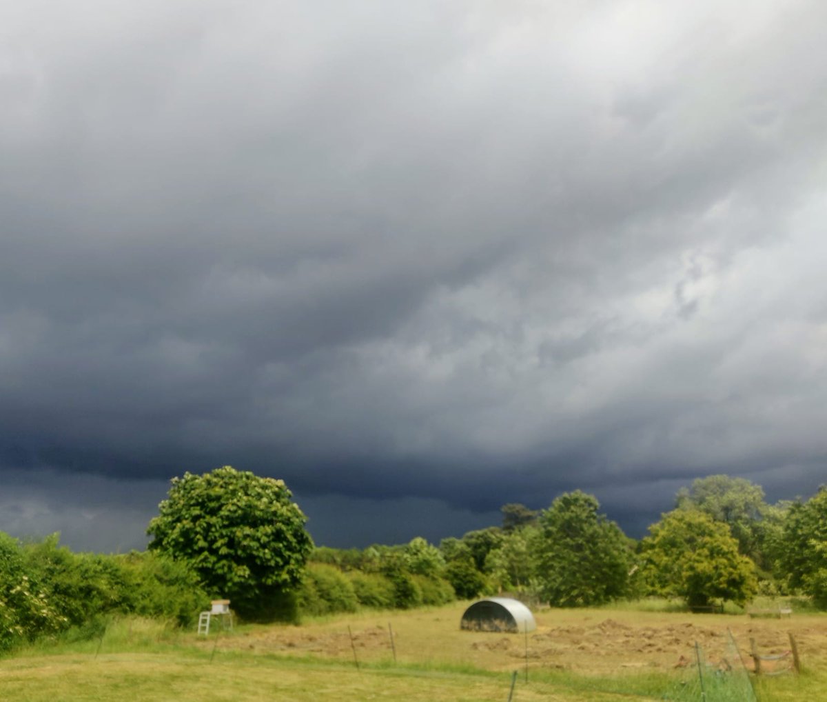 There have been some dark skies over the pig pen today.