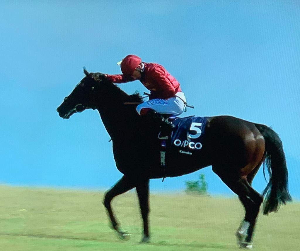 I’m so proud of the horse,jockey,  trainer and <a href="/Tweenhills/">Tweenhills</a> and <a href="/Qatar_Racing/">Qatar Racing</a> teams. No owner has ever deserved to realise a dream more than <a href="/FahadAlthaniQR/">Fahad Al-Thani</a> and <a href="/Qatar_Racing/">Qatar Racing</a>. Today was a day of pure joy. #Kameko