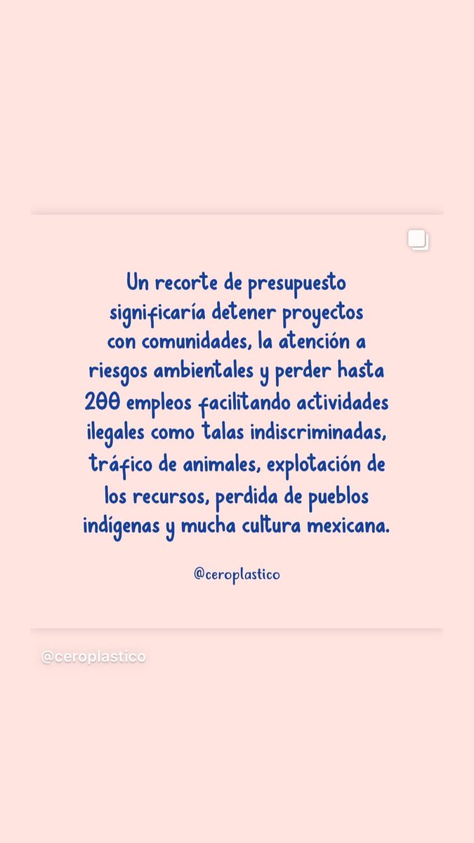 Ana del Miaw tweet media